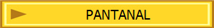 PANTANAL